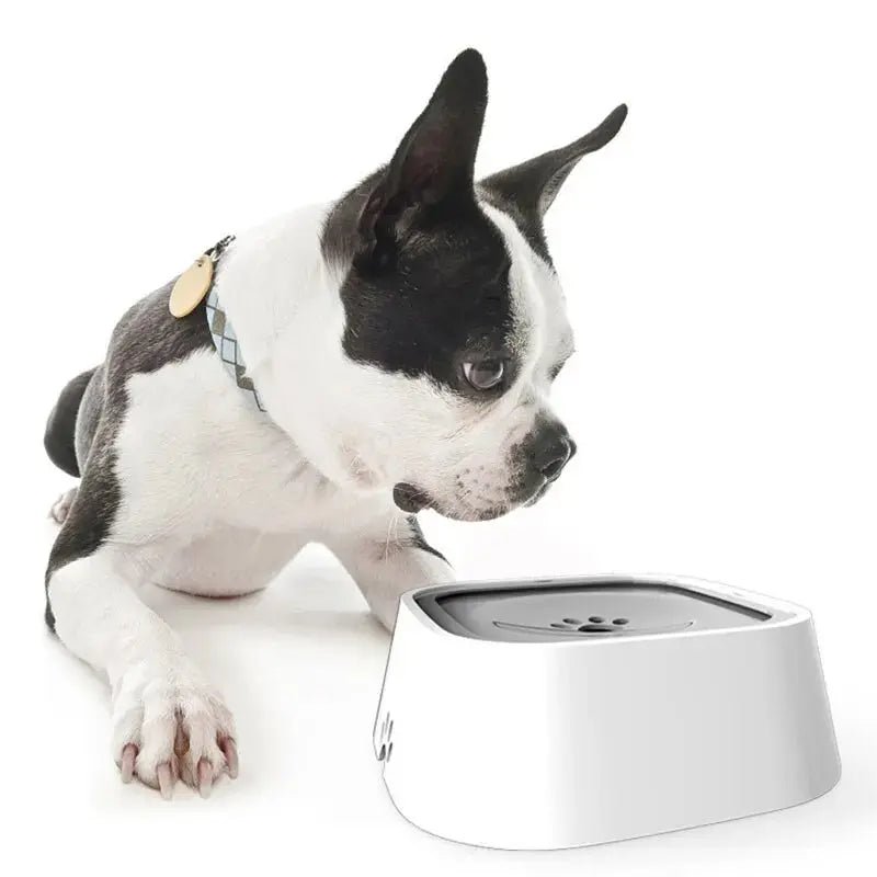 Dog Drinking Water Bowl - UNINEED