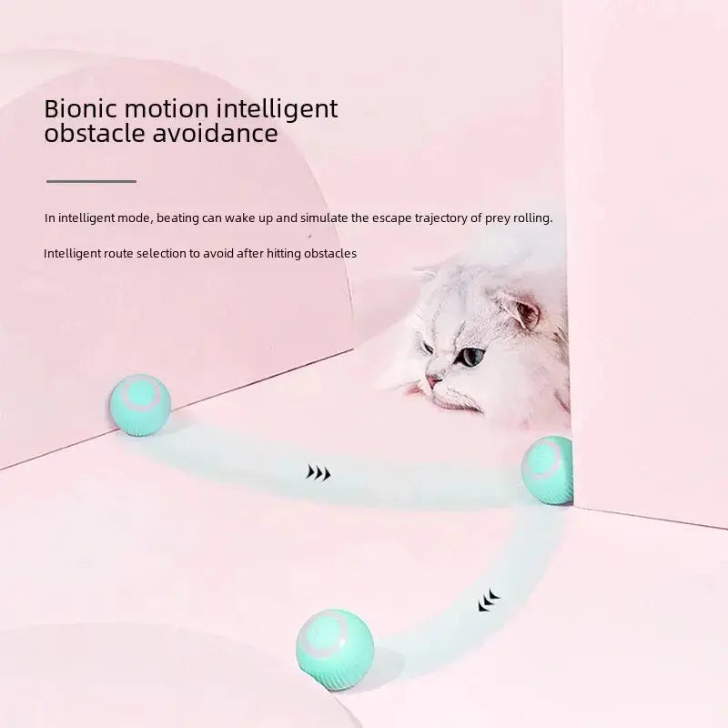 Gravity Defying Smart Cat Ball - UNINEED