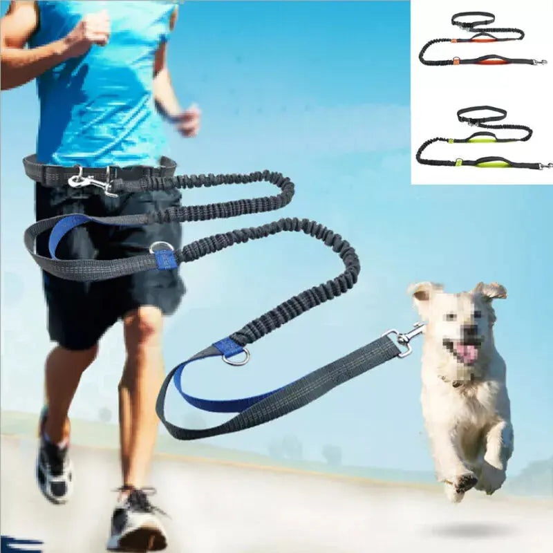 Dog Running Elastic Belt - UNINEED