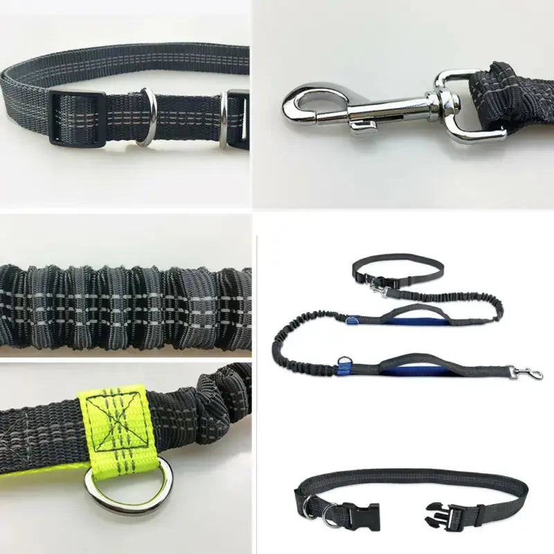 Dog Running Elastic Belt - UNINEED